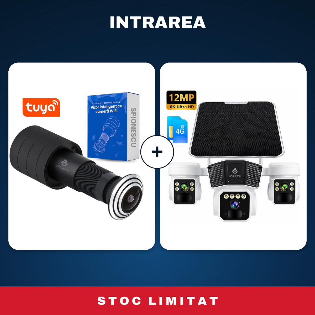 Intrarea